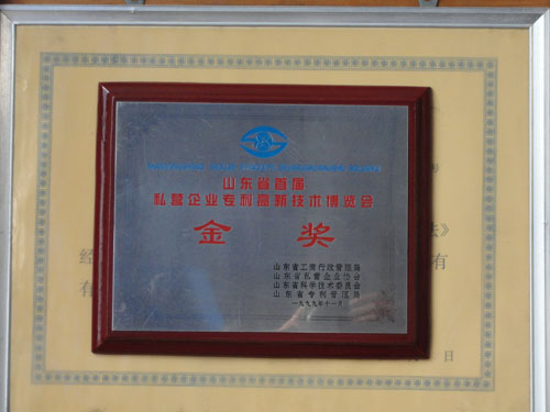 The private enterprise in shandong province, the first patent high technology exposition
